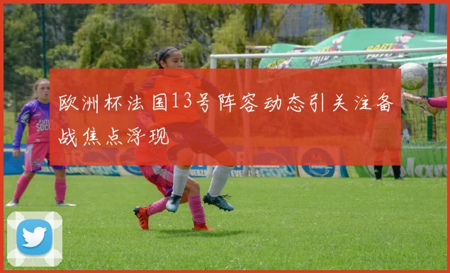 欧洲杯法国13号阵容动态引关注备战焦点浮现