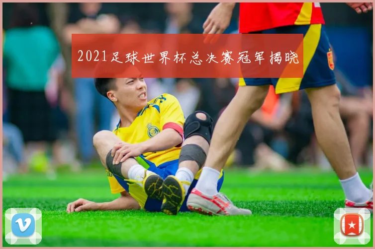 2021足球世界杯总决赛冠军揭晓