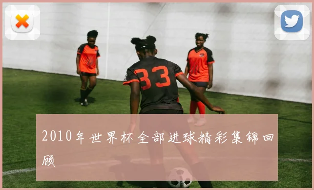 2010年世界杯全部进球精彩集锦回顾