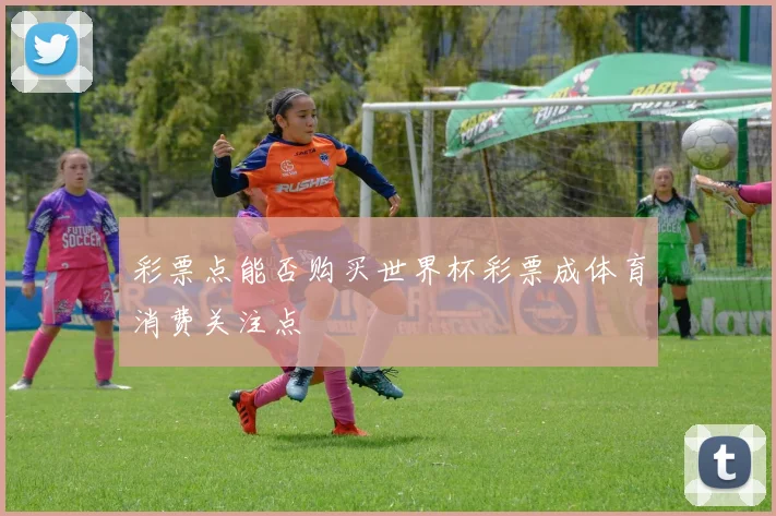 彩票点能否购买世界杯彩票成体育消费关注点