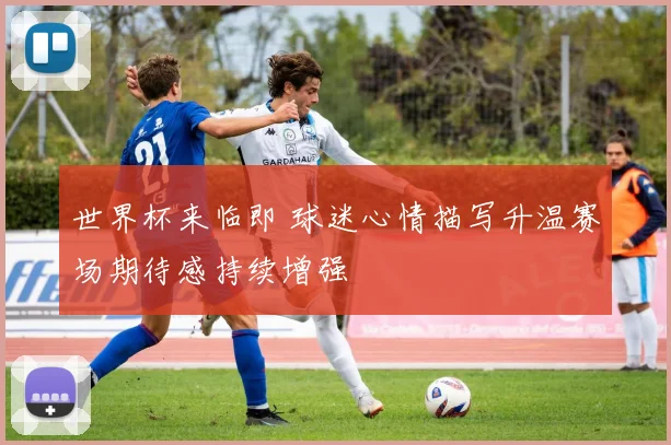 世界杯来临即 球迷心情描写升温赛场期待感持续增强