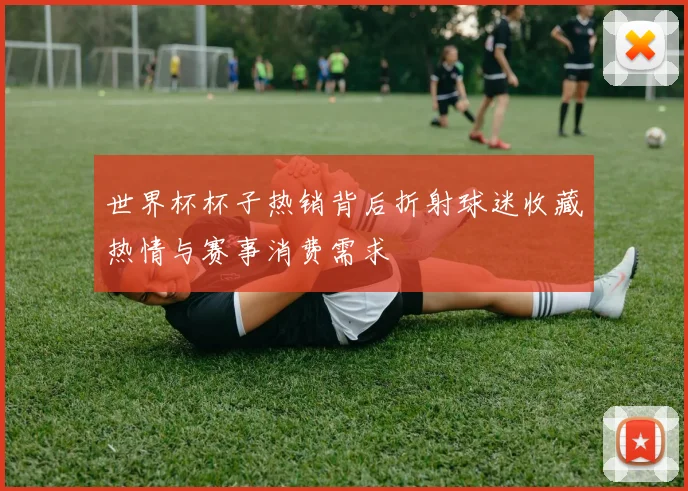 世界杯杯子热销背后折射球迷收藏热情与赛事消费需求