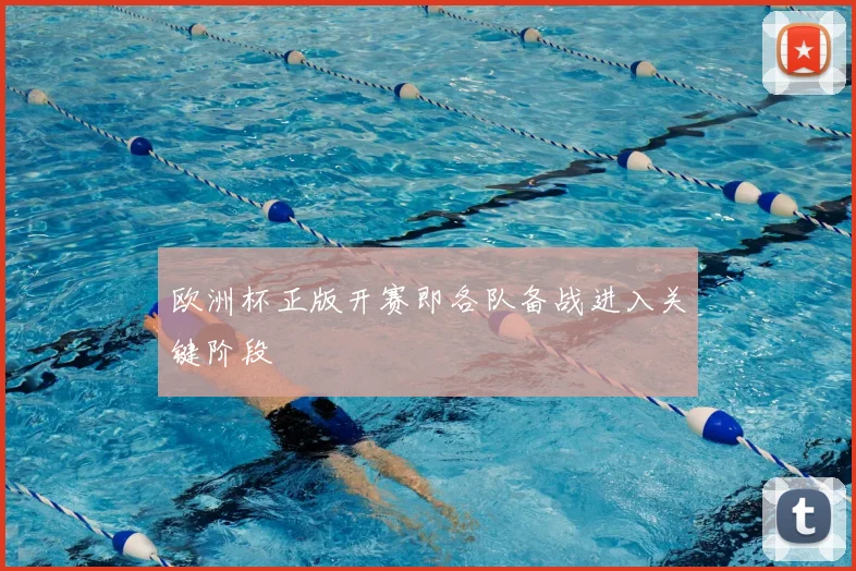 欧洲杯正版开赛即各队备战进入关键阶段