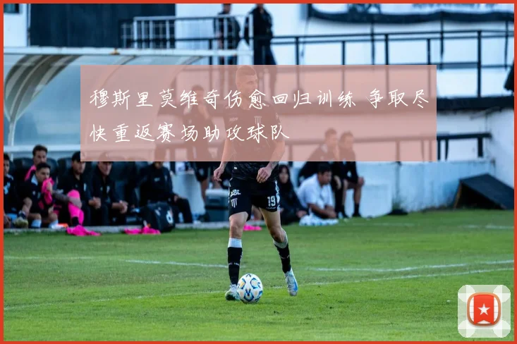 穆斯里莫维奇伤愈回归训练 争取尽快重返赛场助攻球队