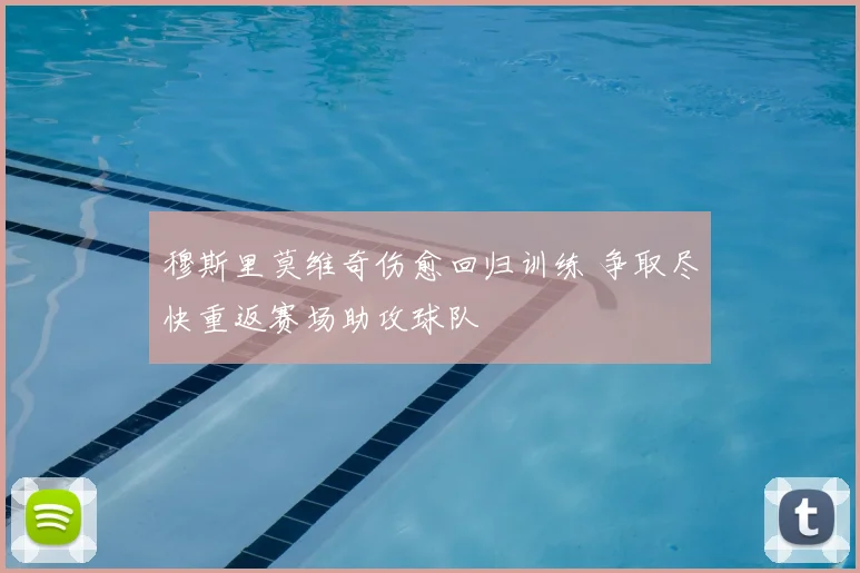 穆斯里莫维奇伤愈回归训练 争取尽快重返赛场助攻球队