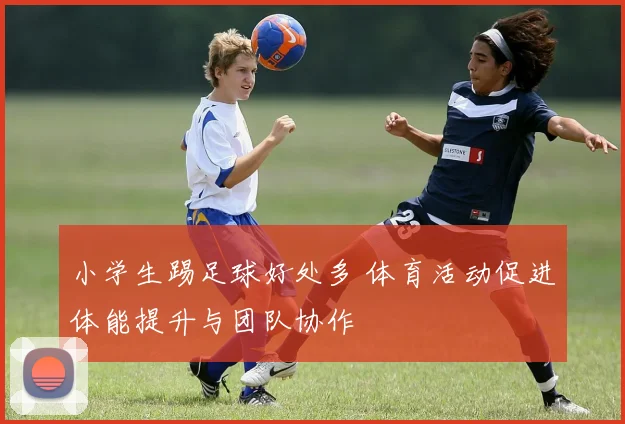 小学生踢足球好处多 体育活动促进体能提升与团队协作