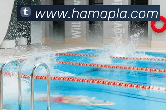 买球官方平台生态图