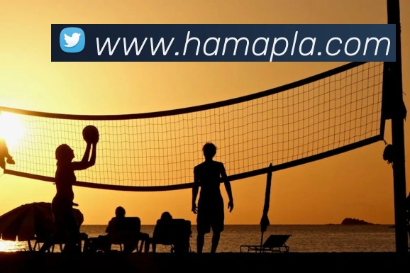 买球官方全站App